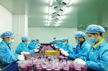 鐵盒無塵包裝車間 鐵盒無塵包裝車間