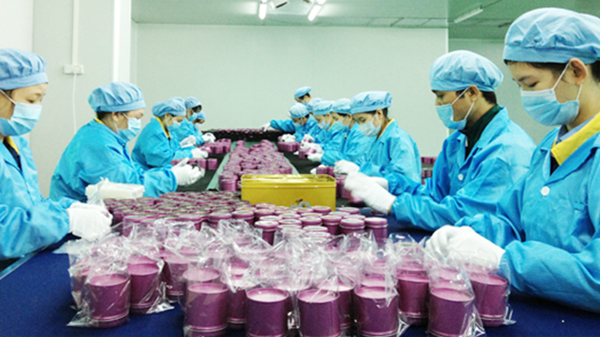 鐵盒包裝線.jpg 鐵盒包裝線.jpg