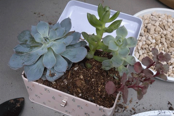 a6471aa9f622816f90eb2b60a27eeca2_0532085593.png a6471aa9f622816f90eb2b60a27eeca2_0532085593.png