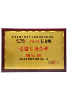 CCTV牛商論道欄目專(zhuān)訪(fǎng)