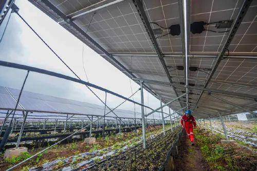 中國十三省最大光伏電站在這里！欽州康熙嶺的光伏電站能排上號了嗎？